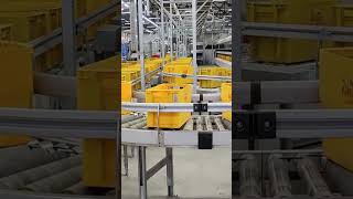 Conveyor Belt Production Line [upl. by Itak]