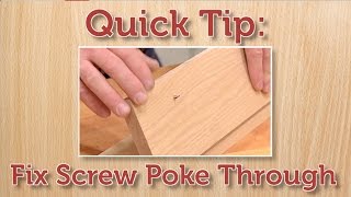 Quick Tip Fix a Protruding Screw [upl. by Ybba]