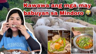 Nagluto ako ng Kinamatisang Manok  Lugi ang babuyan  Nakita ko si Piolo Pascual  Ka Mangyan Vlogs [upl. by Aloel625]