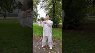 Find Calm The Three Circles Tai Chi Technique For Better Breathing And Stress Relief  GinSen [upl. by Eimor991]