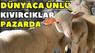 KUZU BU PAZARDAN ALINIR  TÜRKİYENİN EN UCUZ HAYVAN PAZARI BURADA [upl. by Enoid875]