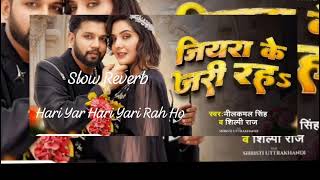 Hari Har Jari Yari Rah Ho slow reverb neelkamal video shilpi  bhojpuri lofi song [upl. by Rednaskela]