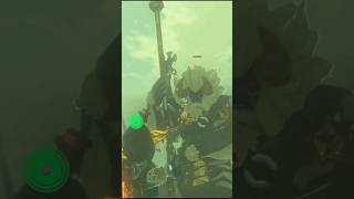 Fight Me TheLegendofZELDABreathoftheWild ZELDA youtube shortsvideo shorts [upl. by Eltsirc694]