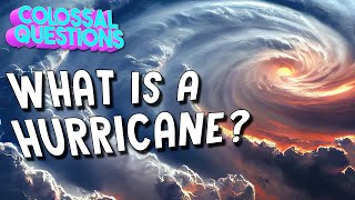 What is a Hurricane  COLOSSAL QUESTIONS [upl. by Les538]