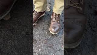 Red Wing Iron Rangers shine bright like a diamond D [upl. by Andie802]