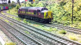 Class 37s with DCC sound on the LocoLines High Elms test track [upl. by Llenwahs953]