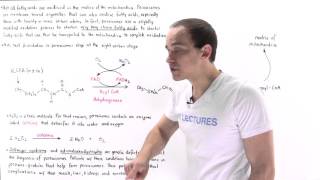 Peroxisomal Oxidation of Fatty Acids [upl. by Barimah866]