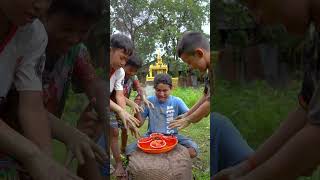 Bushcraft Skills In Forest Survival Jelly Camping Forest bushcraft outdoor [upl. by Laeria]