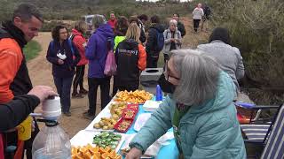 Caminada marxa per la vinya del Celler Clos Pons Albagés Lleida 2022 [upl. by Sib]