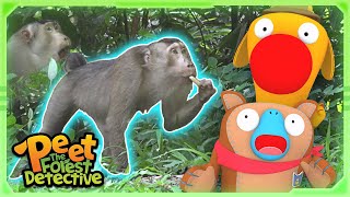 Monkeys Hiding Snacks 🍟🙈  Nature Stories For Kids  Peet The Forest Detective [upl. by Schmitz]