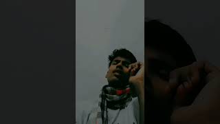 Amar sonar moyna pakhi😍😍 song amrsonar moyna pakhi foysal [upl. by Calesta]