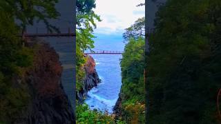 japan photography jogasakicoast viralvideo fyp youtubeshorts nature bride foryou shizuoka [upl. by Mikal398]