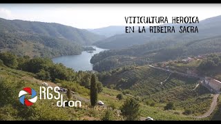 VITICULTURA HEROICA  Ribeira Sacra  Galicia RGSDron [upl. by Davine]