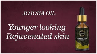 Jojoba oil  Skincare  Natural Solution for all your Skin Problems  HerbSpace [upl. by Eiramaneet88]