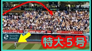 ⚾大谷翔平 特大５号が頭上を通過した右翼手のリアクション最高ｗｗ【メジャー日本人最多記録更新１７６本塁打】 [upl. by Esina981]