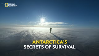 Extreme Antarctica  Continent 7 Antartica Compilations  हिंदी  Full Episode  S2  E2  Nat Geo [upl. by Crescen647]