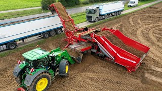 Potato harvest in Germany  Dewulf Kwatro Harvester in Action amp Grimme RH 2460 Combi Clean Loader [upl. by Dnalyag]