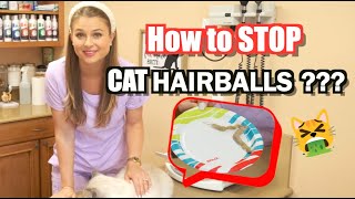 Hairball Control and Treatment for Cats Plus what Supplements to give MUST WATCH [upl. by Germaine]