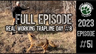 2023 Episode 51  Real Working Trapline Day 8 [upl. by Campy369]