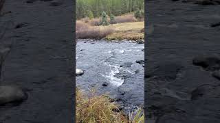 Langhor Creekside Trail Hyalite Reservoir Bozeman Montana nature blessedeveryday bozeman [upl. by Liponis919]