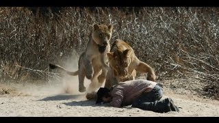 Live Hyderabad Zoo Park Lion AttackOMG [upl. by Alesig]