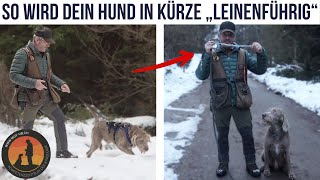 5 Tipps wie dein Hund in Kürze „leinenführig“ wird und trotzdem ausgelastet ist  Hundeschule UB [upl. by Edgell250]