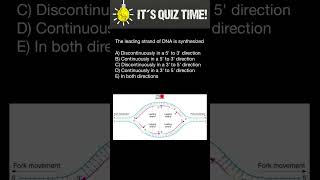 DNA replication Leading and Lagging strands [upl. by Ahsyekal]