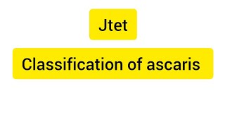 classification of ascaris jtet zoology [upl. by Darmit]