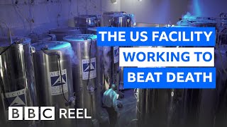 Inside the US lab freezing the dead at 196C  BBC REEL [upl. by Schatz]