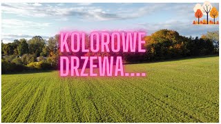 Kolorowe drzewai nie tylko🇵🇱lecimy jesień loty kolorowo [upl. by Gardol]