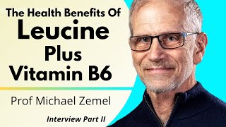 Leucine amp Vitamin B6 Enhances Metabolic Health In Human Trials  Prof Michael Zemel Ep 2 [upl. by Weingarten]