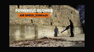 WORX 40V 2x20V Brushless BlowerVacMulcher  POWERSHARE Tool – WG583E9 [upl. by Nniuq781]