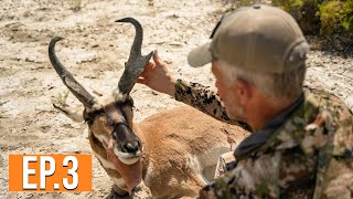 Public Land Pronghorn  Nevada Pronghorn EP 3 [upl. by Evin]