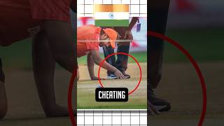 Team India was caught cheating in the semifinal 😱Cricket Pitch controversy cwc23 trending india [upl. by Winebaum]