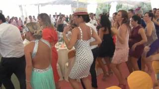 Boda de Carmen Mambo N5 [upl. by Catina644]