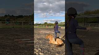 NEW TRICK 🤩🐴 horse equestrian shetland naturalhorsemanship [upl. by Yeslaehc]