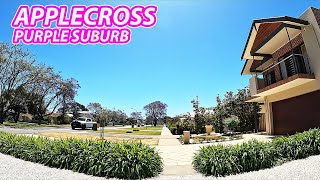 Walking Tour Suburb APPLECROSS Perth Australia Purple Jacaranda Trees Everywhere [upl. by Flodnar]