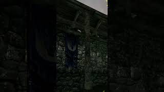 Random running Skyrim TES V 181 [upl. by Annaeirb578]