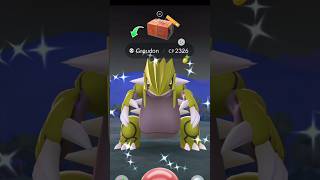 What we left behind in Pokémon Go shorts reward shiny legendary ultragoo game groudon [upl. by Meehan722]