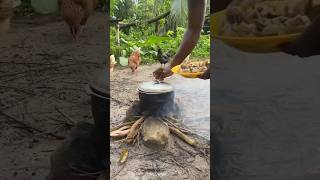 Outdoor Cooking In Jamaica shortsfeed outdoorcooking outdoors [upl. by Salahi624]