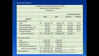 Part 1 Financial Statements Analysis Intro Horizontal Analysis and Vertical Analysis [upl. by Bekha]