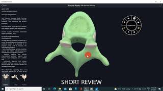 TYPICAL THORACIC VERTEBRA WITH MUSCLE ATTACHMENTS3D VIDEOTHORAX3D ANATOMY [upl. by Leunam]