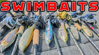 Swimbait Fishing – Full Seminar For Beginners and Advanced Anglers [upl. by Veron654]