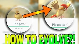 POKEMON GO  HOW TO EVOLVE  LEVEL UP [upl. by Sedecrem]