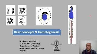 Basic Concepts and Gametogenesis [upl. by Ahseya]