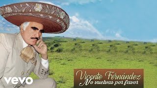 Vicente Fernández  No Vuelvas por Favor Cover Audio [upl. by Rivy]