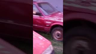 toyota with rsi motor viralvideo pitbullattitude blackpitbulldogattitude [upl. by Abbye887]