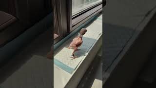 A Featherless baby parrot shorts parrot cute shortvideo funny birds [upl. by Ablem321]