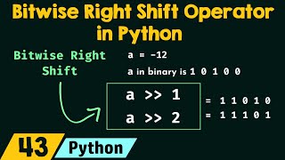 Bitwise Right Shift Operator in Python [upl. by Nebur]