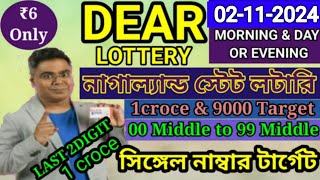 02112024 morning 6pm 8pm Target Number NagalandLottery Sambad LiveLottery Target Number [upl. by Davilman69]